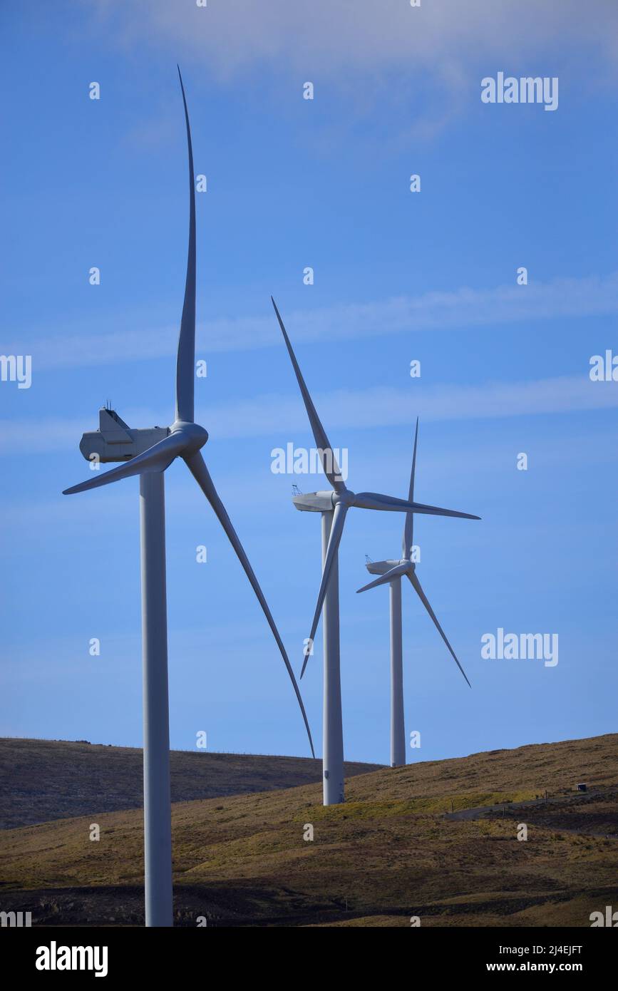 Green Knowes Windpark Windkraft Stockfoto