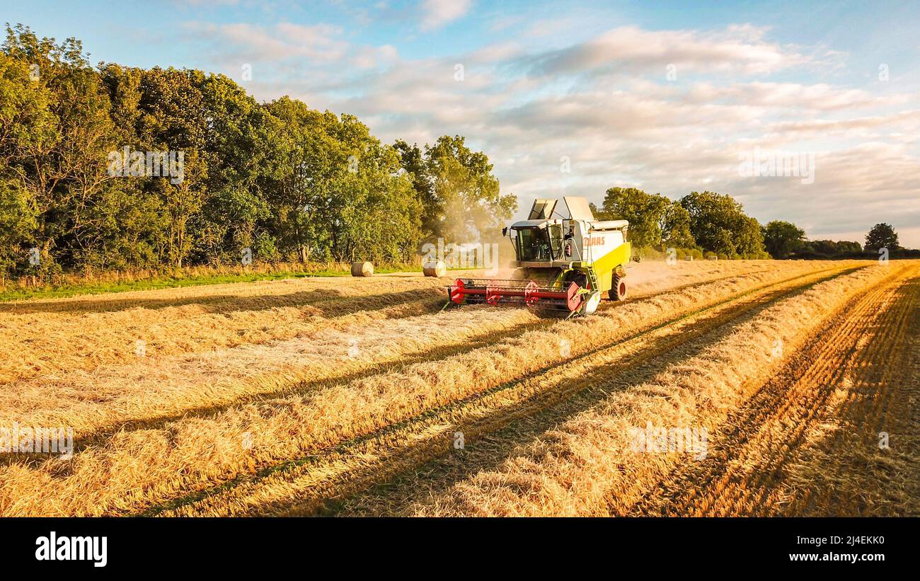 Antenne drone Ansicht der Mähdrescher in Northumberland Weizenfelder Stockfoto