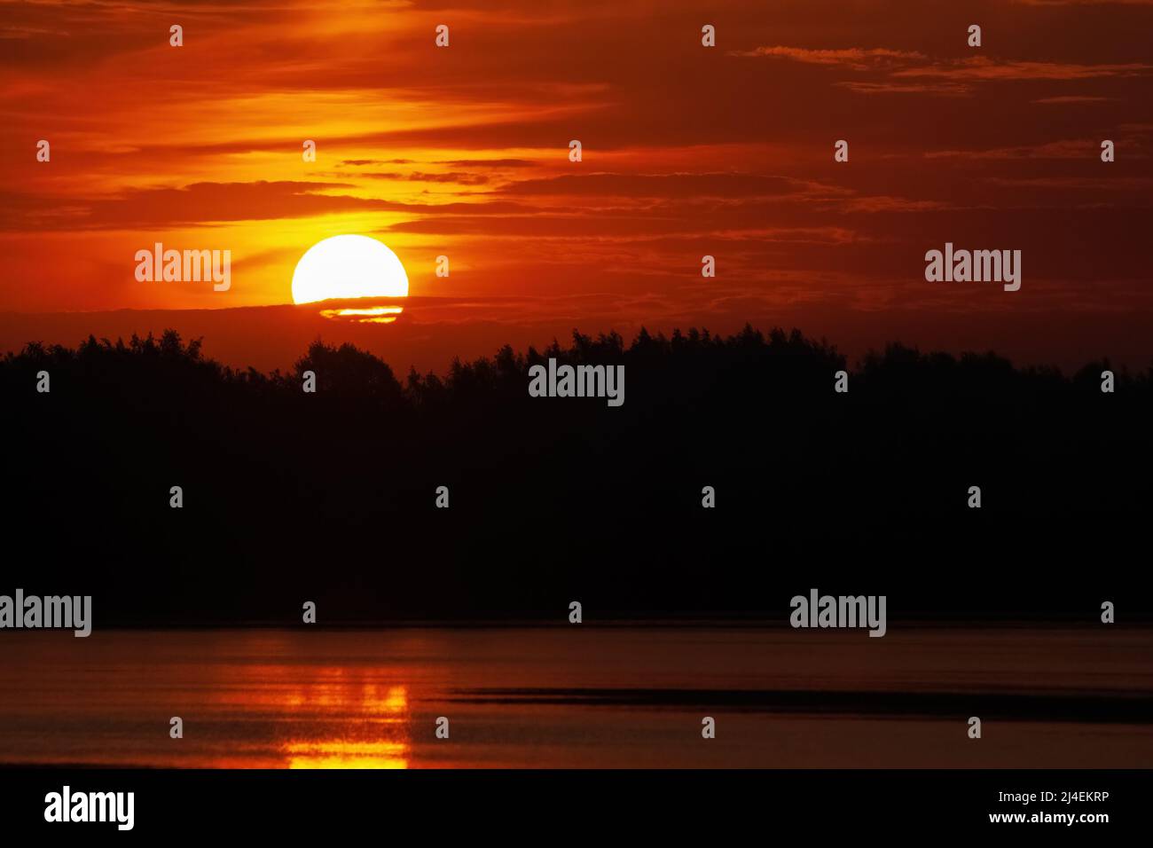 Purpurner Sonnenuntergang. Riesige Sonnenscheibe auf dem Hintergrund der Silhouette von Wald und Fluss. Stockfoto