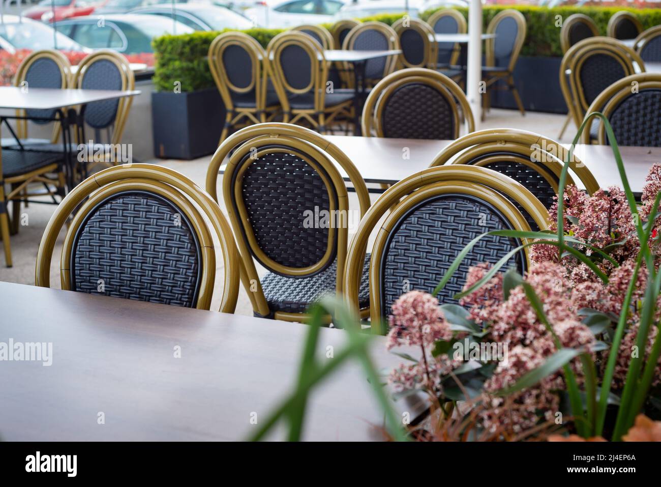 Reinigen Sie leere Tische und Stühle im Café-Restaurant im Freien, das von Pflanzen und Blumen umgeben ist. Stockfoto