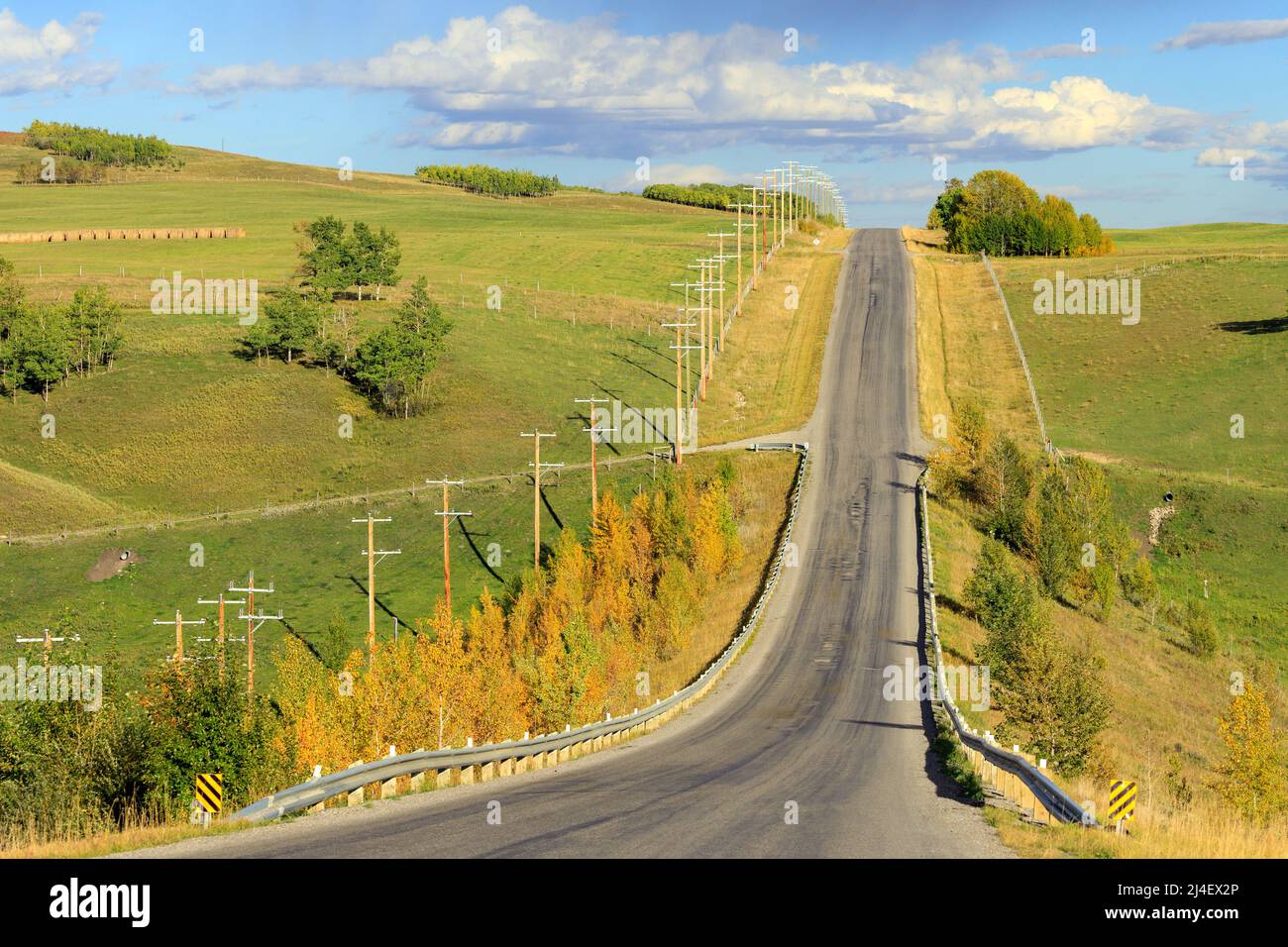 Eine Landstraße mit Reihen von Holzmasten in Alberta, Kanada. Ein Versorgungs-Pol, abwechselnd als Power-Pol, Telefonpol, Telegraph bezeichnet Stockfoto