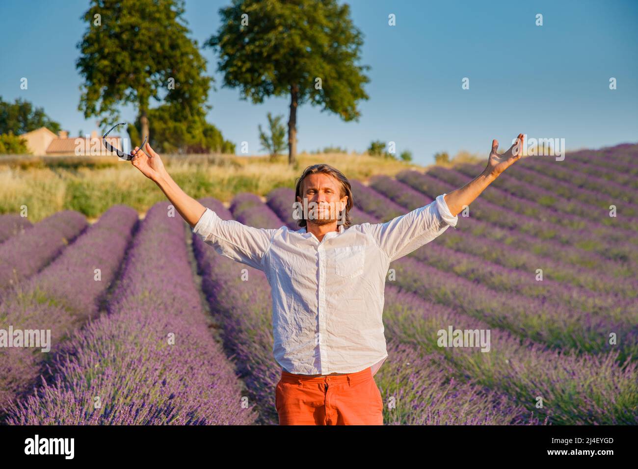 Der gutaussehende brutale Mann mit langen Brünetten Haaren posiert auf dem Lavendelfeld in der provence in der Nähe von Valensole, Frankreich, klares sonniges Wetter, in einer Reihe von Stockfoto