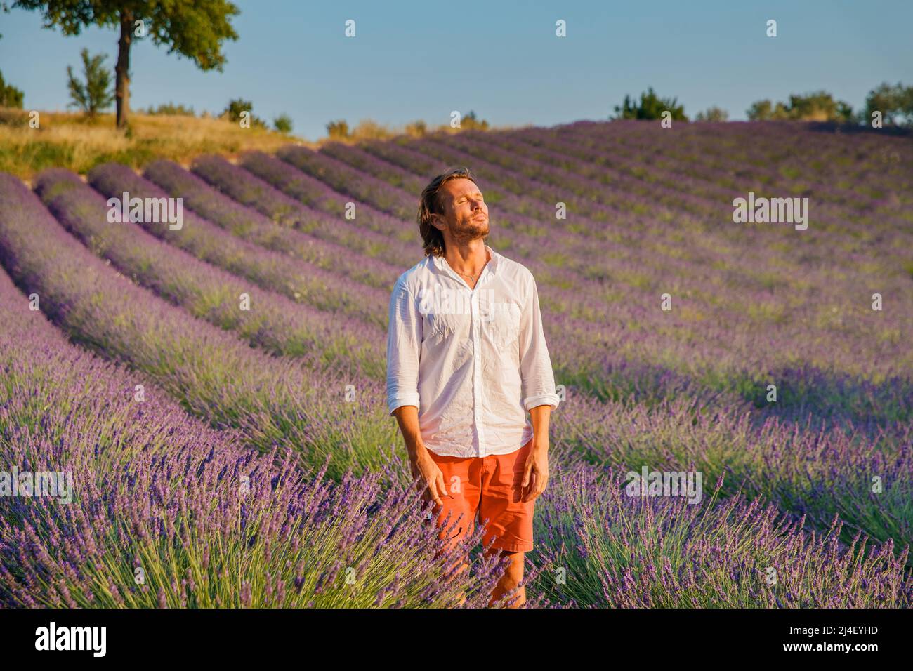 Der gutaussehende brutale Mann mit langen Brünetten Haaren posiert auf dem Lavendelfeld in der provence in der Nähe von Valensole, Frankreich, klares sonniges Wetter, in einer Reihe von Stockfoto