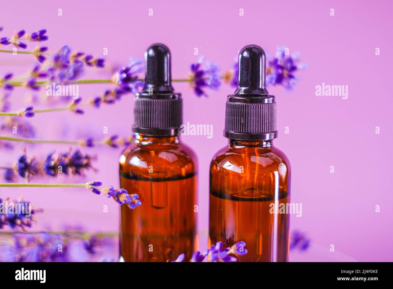 Ätherisches Lavendelöl.Aromatherapie und Massage. Flaschen Ölset und Lavendelblüten auf purpurem Hintergrund.Duft von Lavendel. Stockfoto