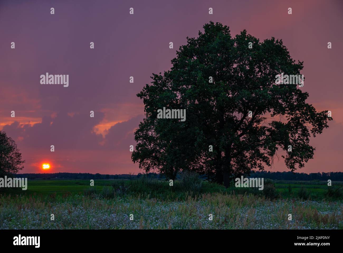 Sonnenuntergang auf dem Land im Dorf in der Nähe von Wald Stockfoto