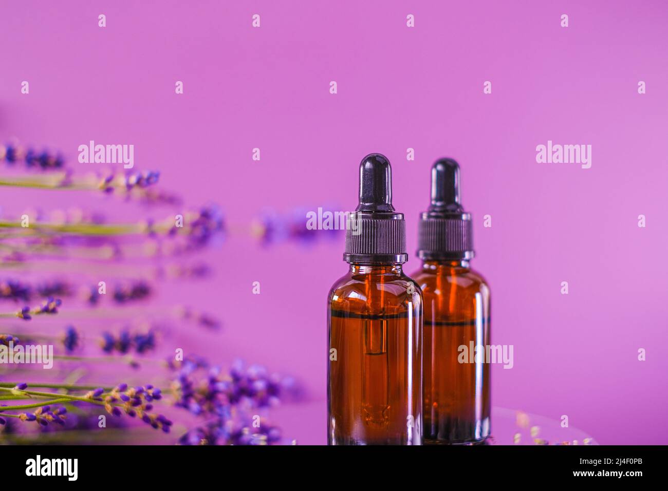Ätherisches Lavendelöl.Aromatherapie und Massage.Braune Glasflaschen Öl und Lavendelblüten auf einem lila Hintergrund.Duft von Lavendel.Essenz mit Stockfoto