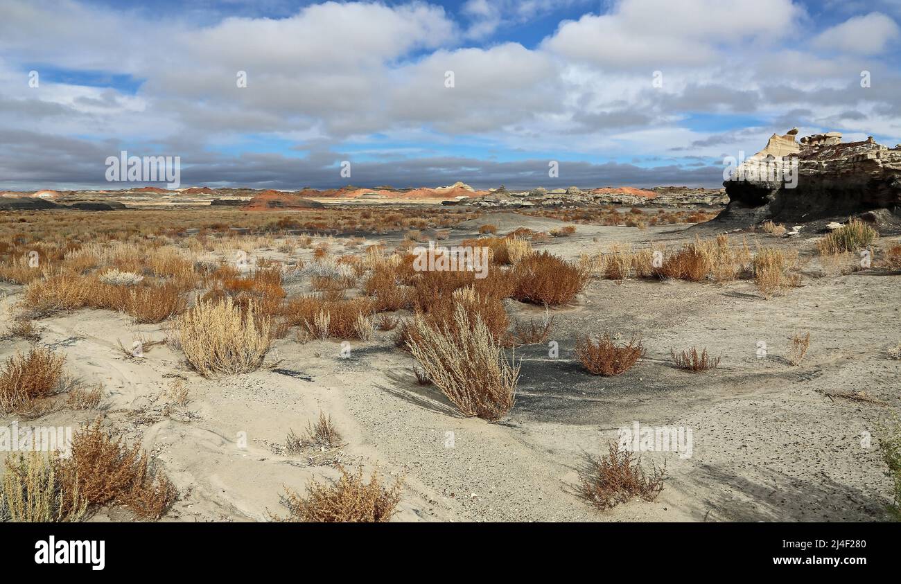 Landschaft in Bisti - New Mexico Stockfoto