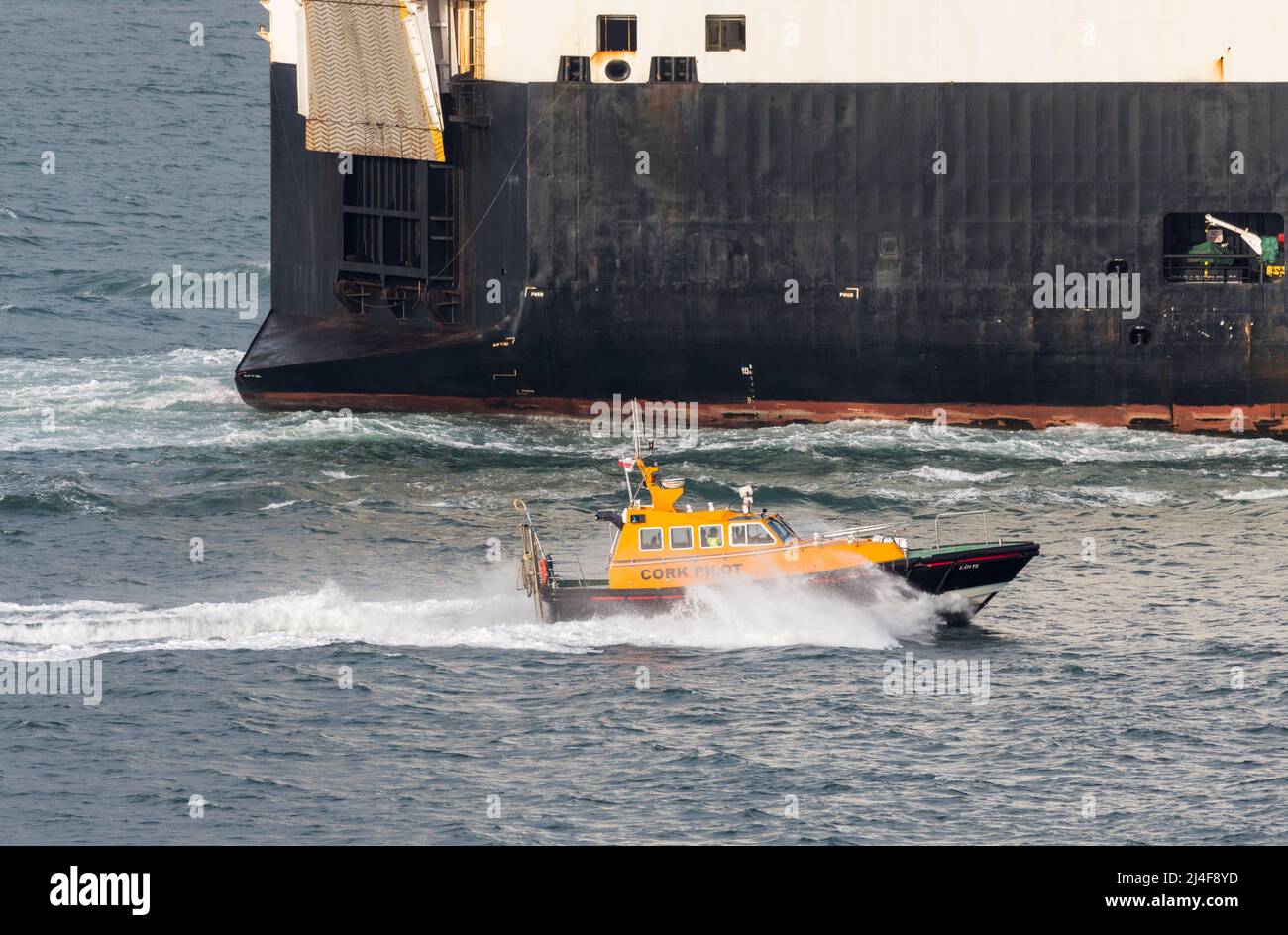 Crosshaven, Cork, Irland. 14.. April 2022. Das Lotsenboot Failte zieht sich nach hinten an die Trägerin Patara, als sie am späten Abend den Hafen verlässt, nachdem sie eine Ladung Autos in Ringaskiddy, Co. Cork, Irland, entladen hatte. - Bild David Creedon Stockfoto