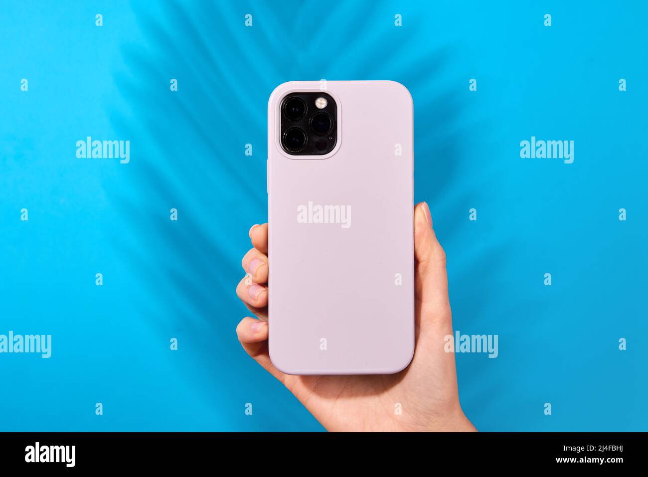 Weibliche Hand hält weißes Smartphone in weichem Silikon Abdeckung Rückansicht . Handytasche Nachbildung isoliert auf blauem Hintergrund Schatten von einer Pflanze Stockfoto