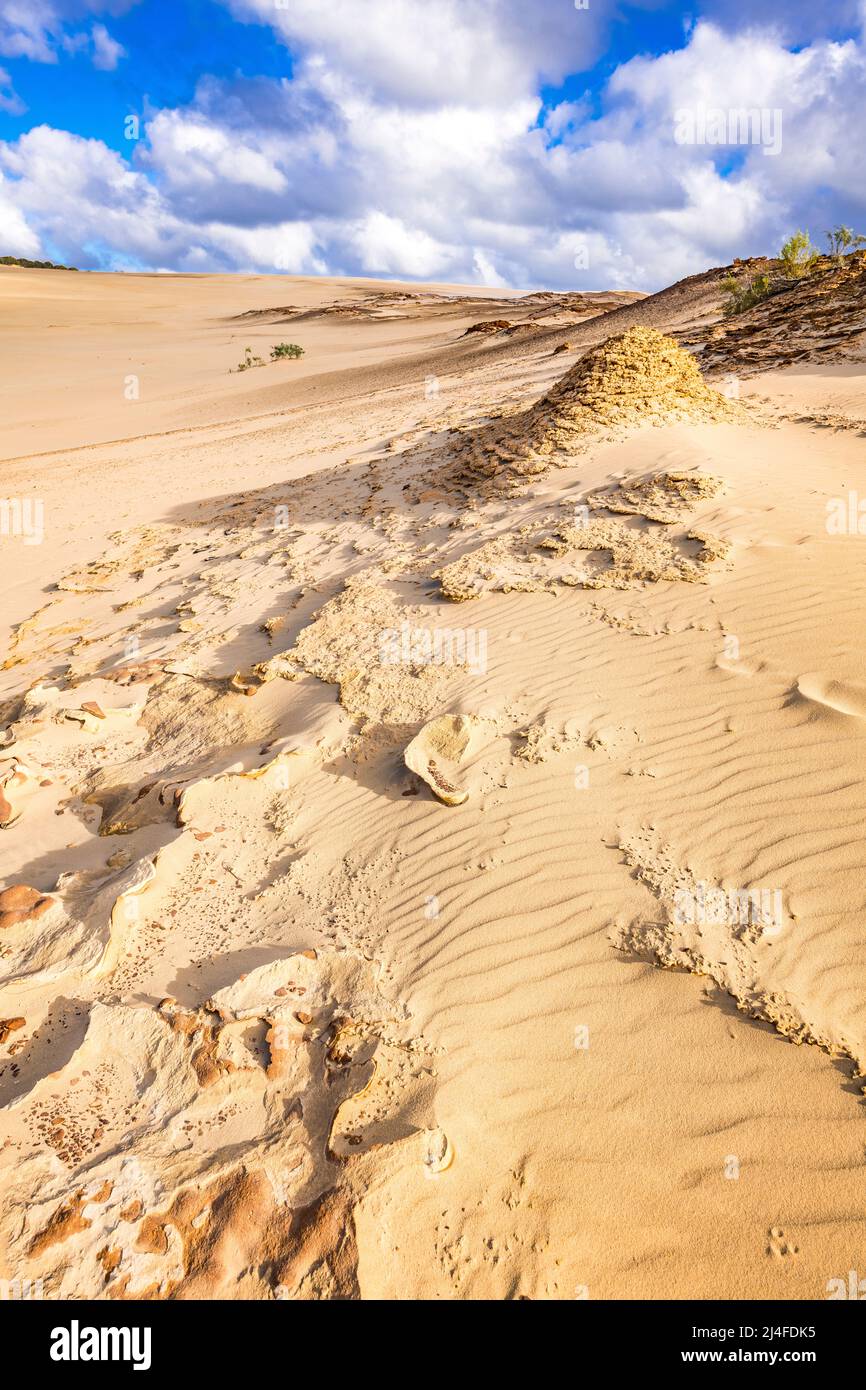 Eine ungewöhnliche Landschaft erwartet die Besucher des Wungul Sandblow auf Fraser Island. Queensland, Australien Stockfoto