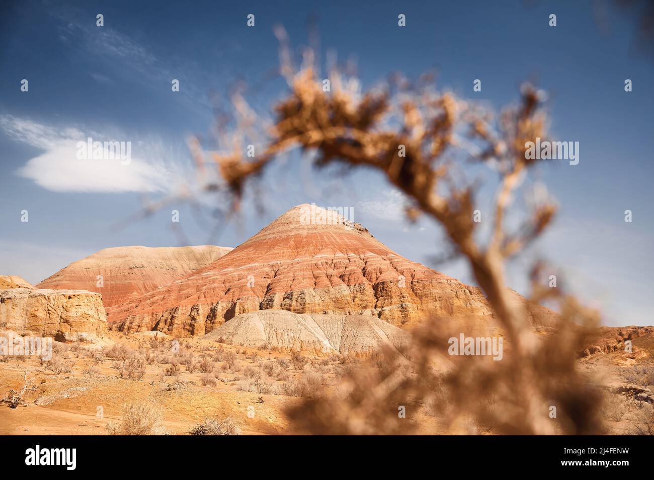 Landschaft von Rot mit Streifen bizarre geschichtete Berge in Canyon in schönen Wüstenpark mit trockener Pflanze im Vordergrund Stockfoto