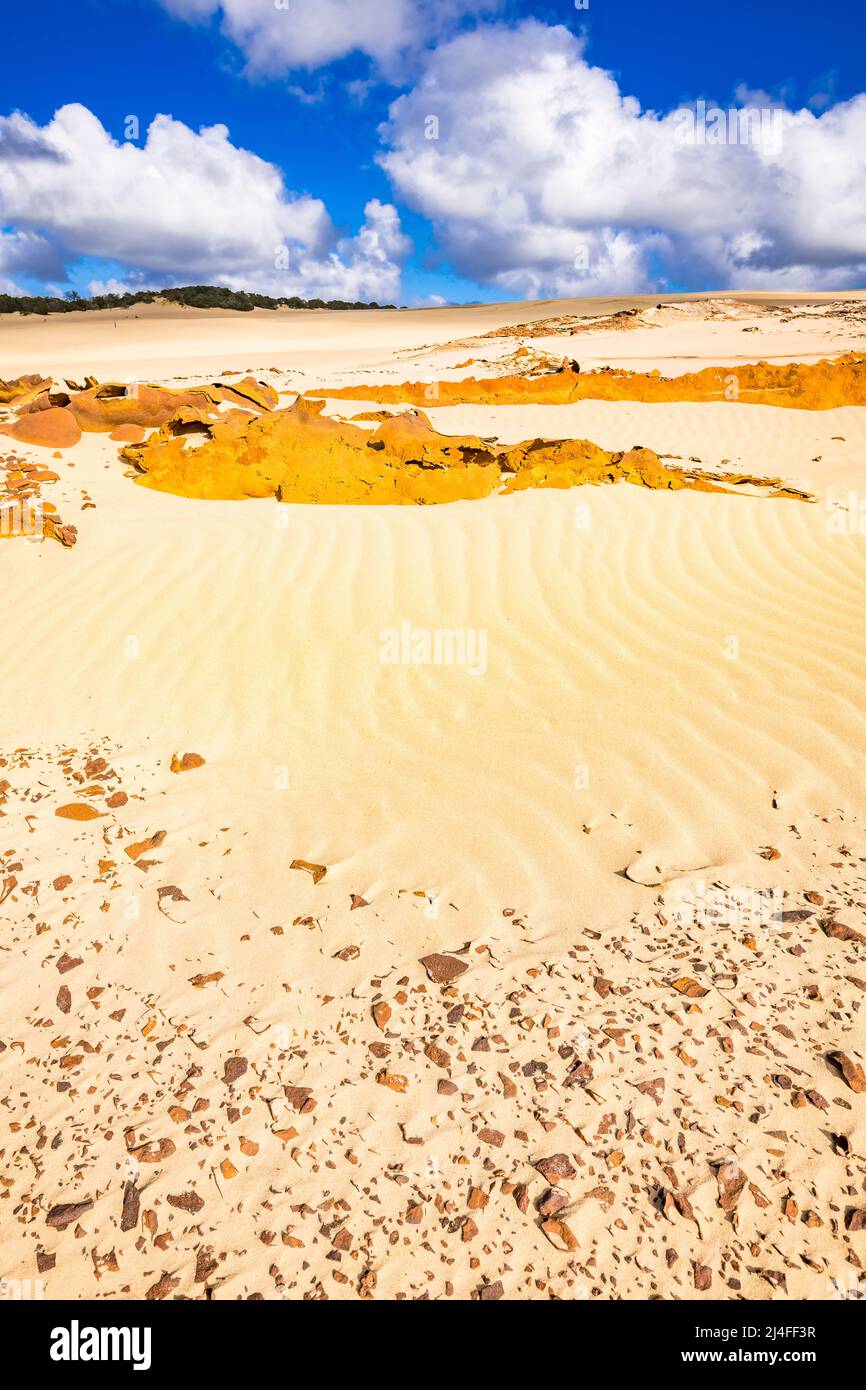 Eine ungewöhnliche Landschaft erwartet die Besucher des Wungul Sandblow auf Fraser Island. Queensland, Australien Stockfoto