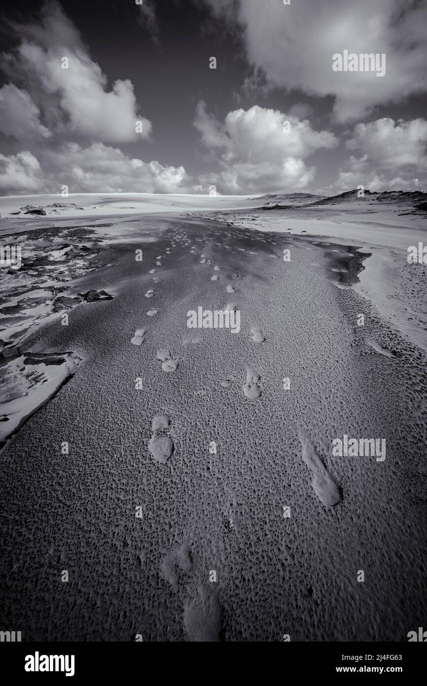 Fußabdrücke in Sanddünen am Wungul Sandblow, Fraser Island, Queensland, Australien Stockfoto