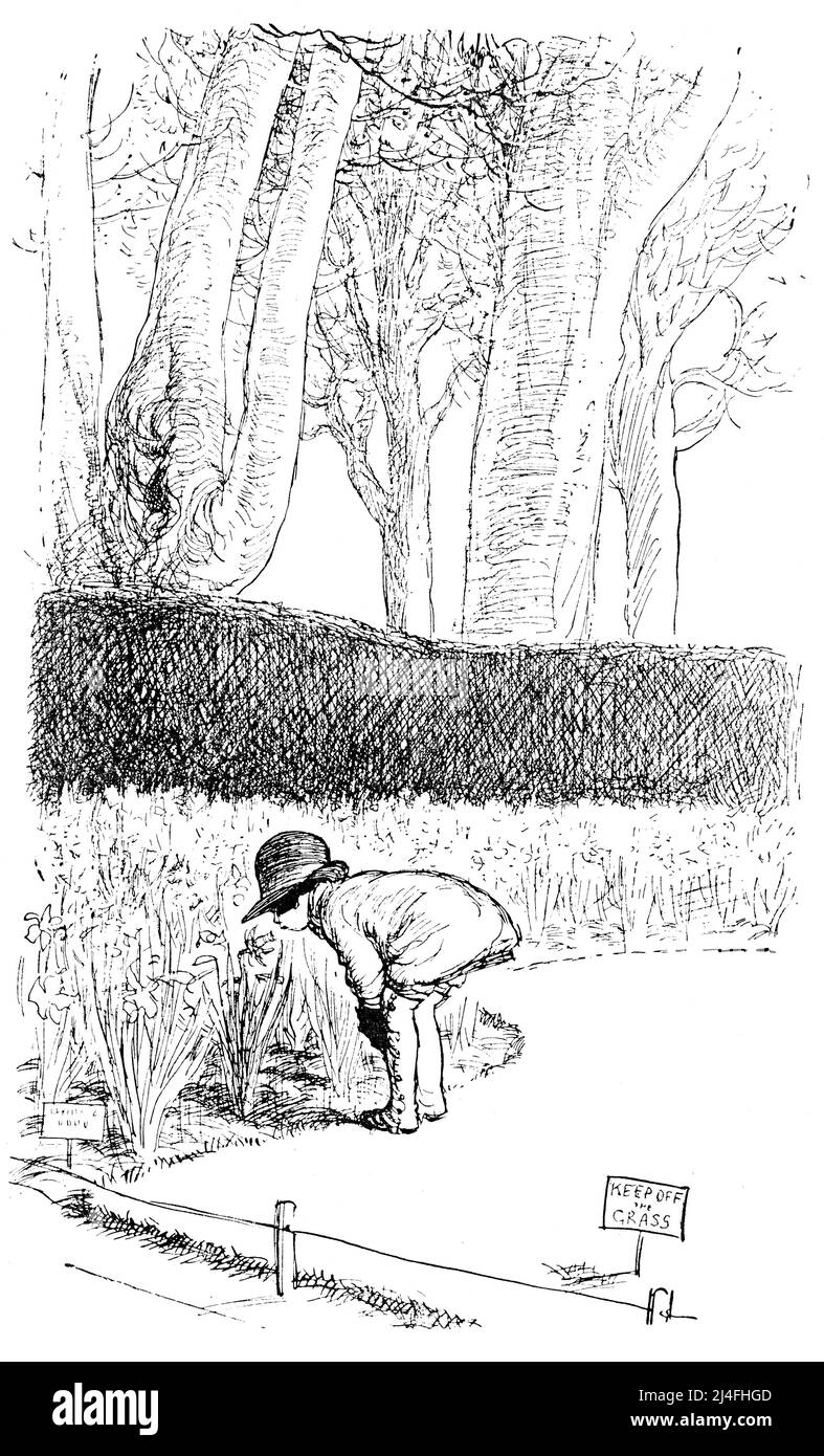 Illustration eines Mädchens, das die Narzissen in einem Gartenbett schnüffelt Stockfoto