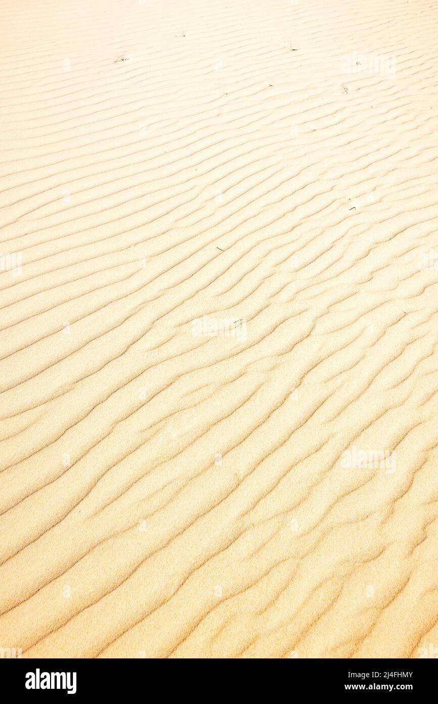 Sand bildet sich in Wellul Sandblow, Fraser Island, Queensland, Australien, zu Wellen Stockfoto