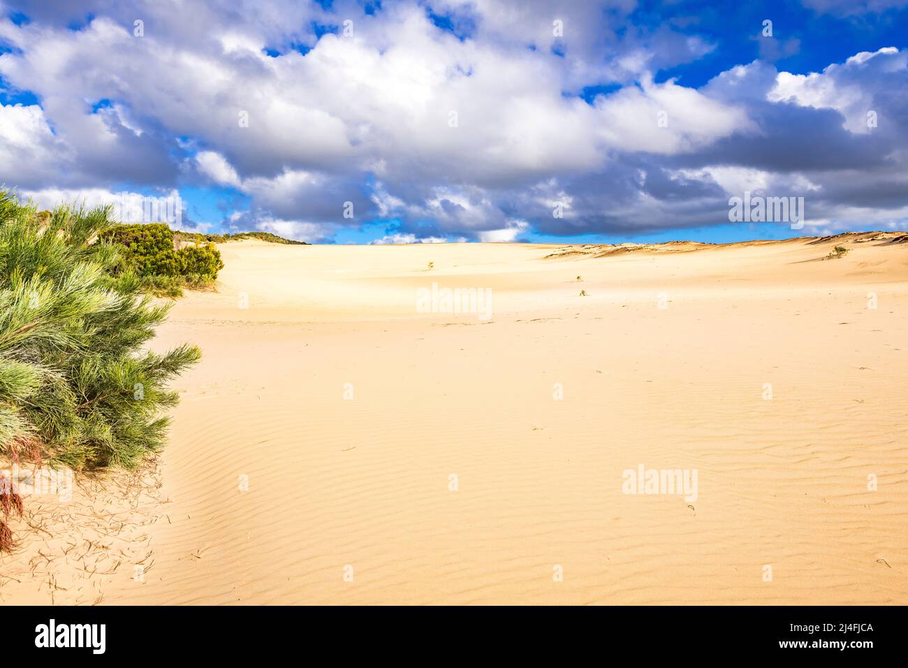 Der Wungul Sandblow erstreckt sich bis in die Ferne auf Fraser Island, Queensland, Australien Stockfoto