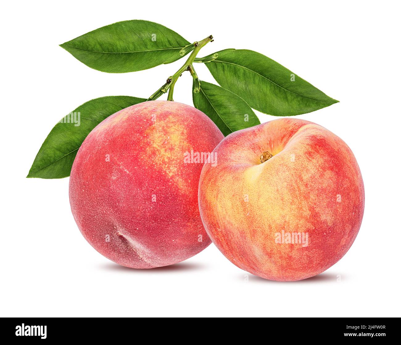 Peach isolieren. Pfirsich mit Blatt auf weißem Hintergrund. Volle Schärfentiefe. Stockfoto