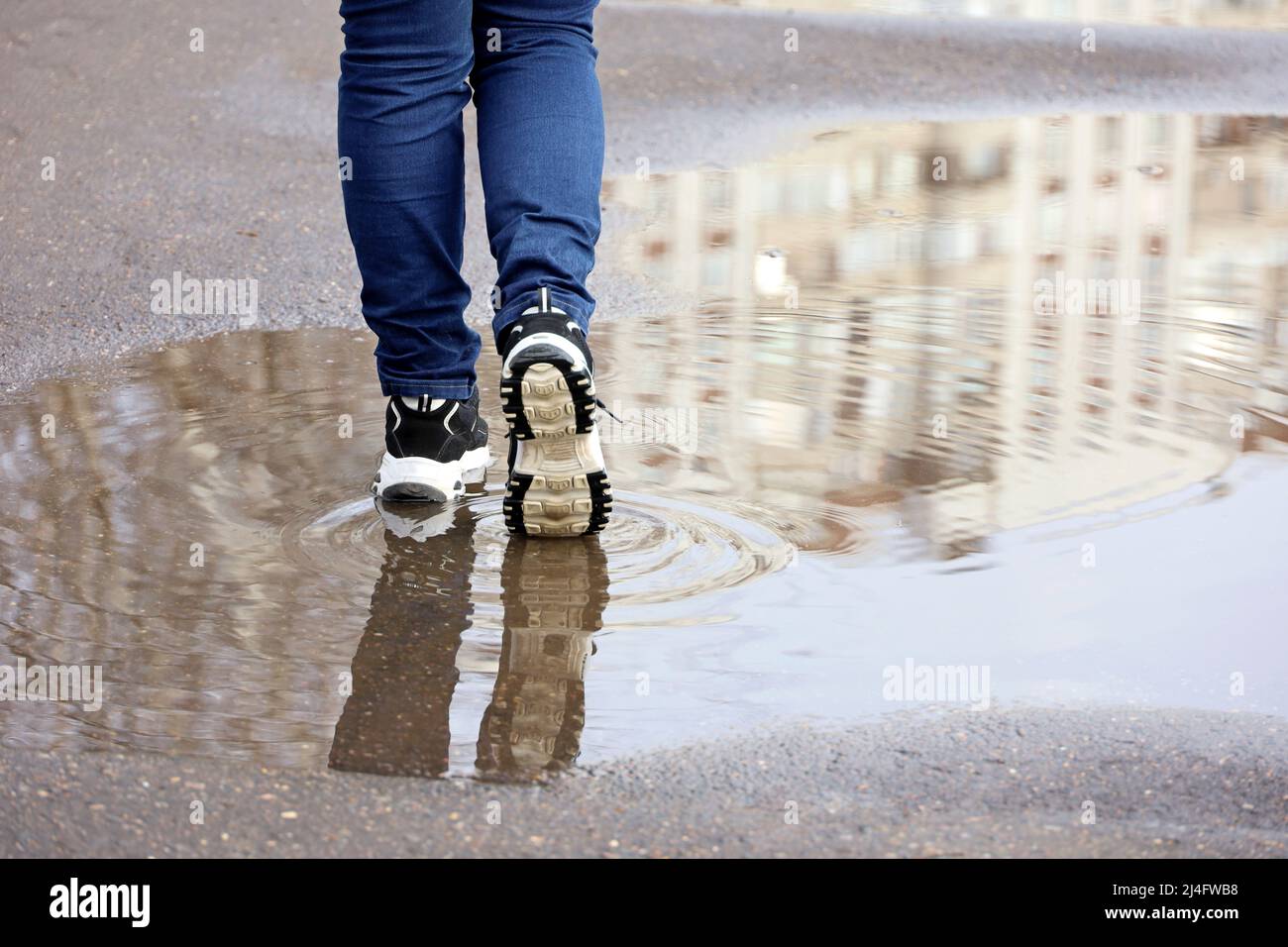 Weibliche Beine in Jeans und Sneakers mit Spiegelung in Pfütze auf einer Straße. Regen in der Stadt, schmelzender Schnee im Frühling, Schuhe für Frauen Stockfoto