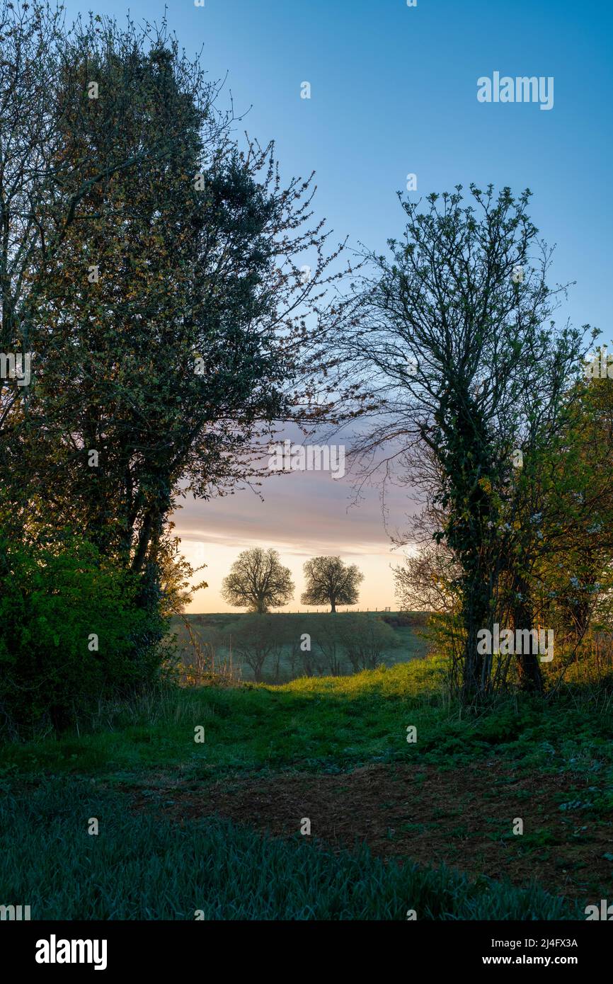 Am frühen Morgen in der Landschaft von Oxfordshire in der Nähe von Swacliffe. Oxfordshire, England Stockfoto