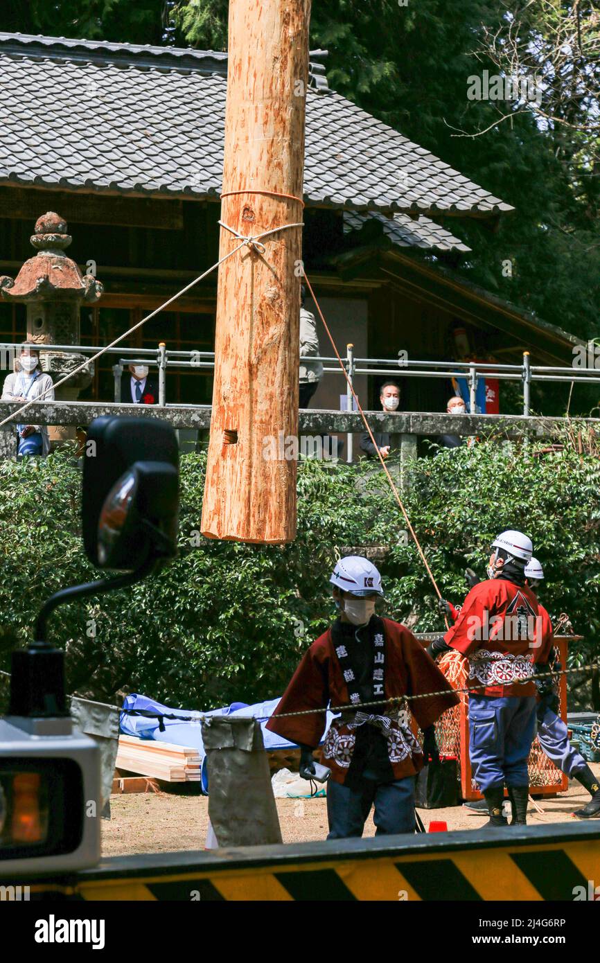 iida, nagano, japan, 2022/09/04 , der Baumstamm wird beim Onbashira-Fest auf der iinuma suwa jinja in iida vom Kran angehoben und in der Nähe des Schreins aufgestellt Stockfoto