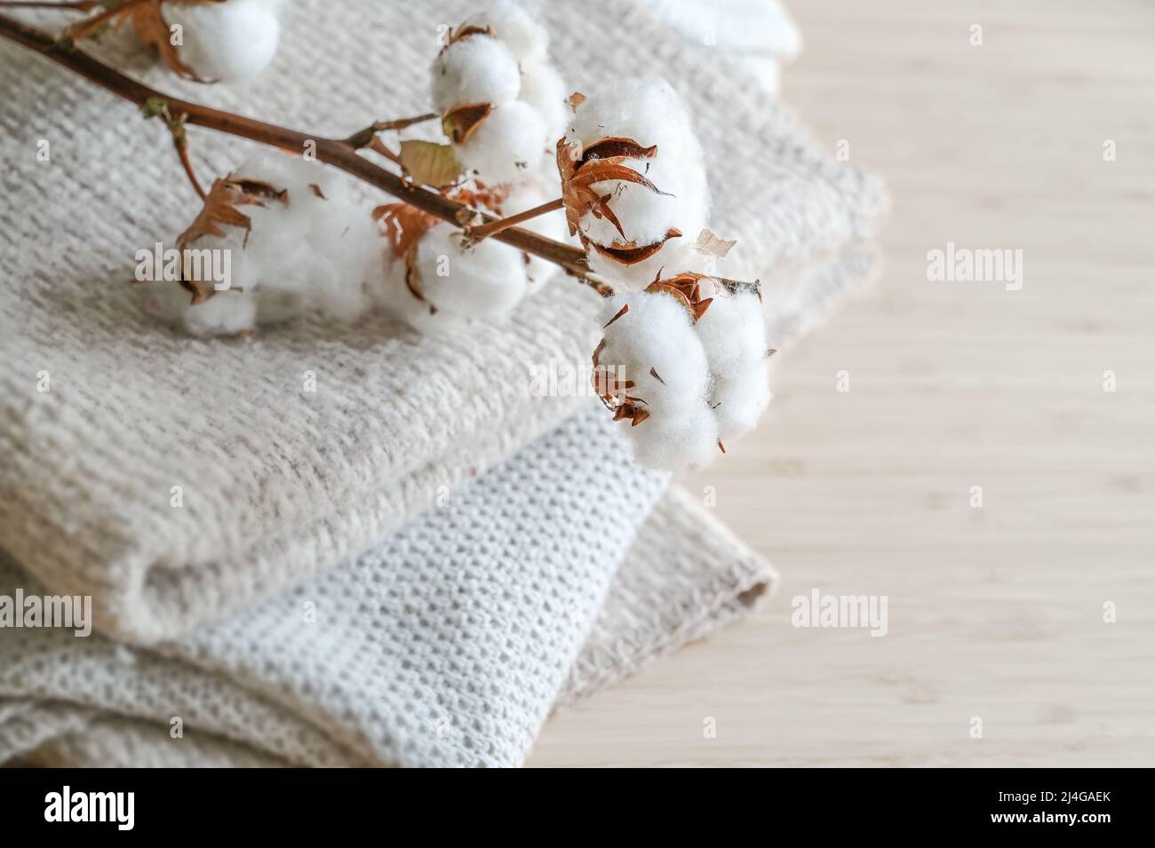 Zweig mit flauschigen Baumwollkugeln auf einem Stapel von natürlichen farbigen Stoffen, Modekonzept, umweltfreundlich angebaut, nachhaltig verarbeitet und fair trade, kopieren Stockfoto