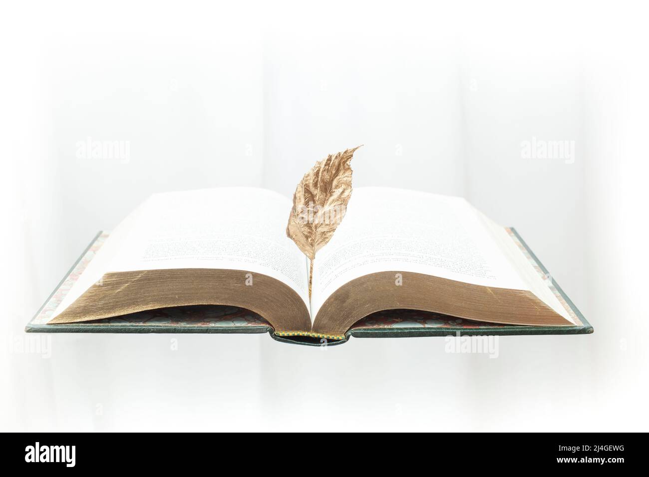 Geöffnetes dickes Buch schweben auf weißem Hintergrund, mit einem goldenen Blatt Stockfoto