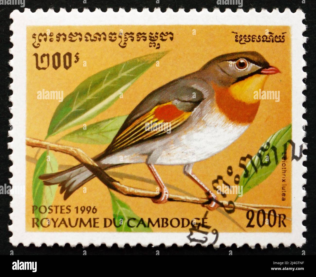 KAMBODSCHA - UM 1996: Eine in Kambodscha gedruckte Briefmarke zeigt Leiothrix, Leiothrix Lutea, Bird, um 1996 Stockfoto