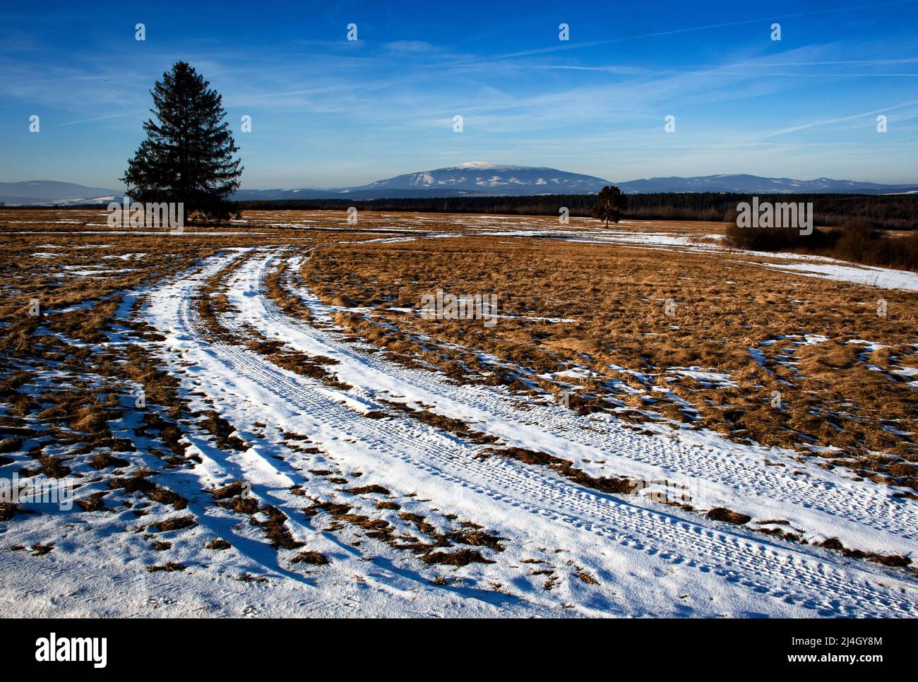 Landschaft Hintergrund große Wiese mit schwindendem Schnee Stockfoto