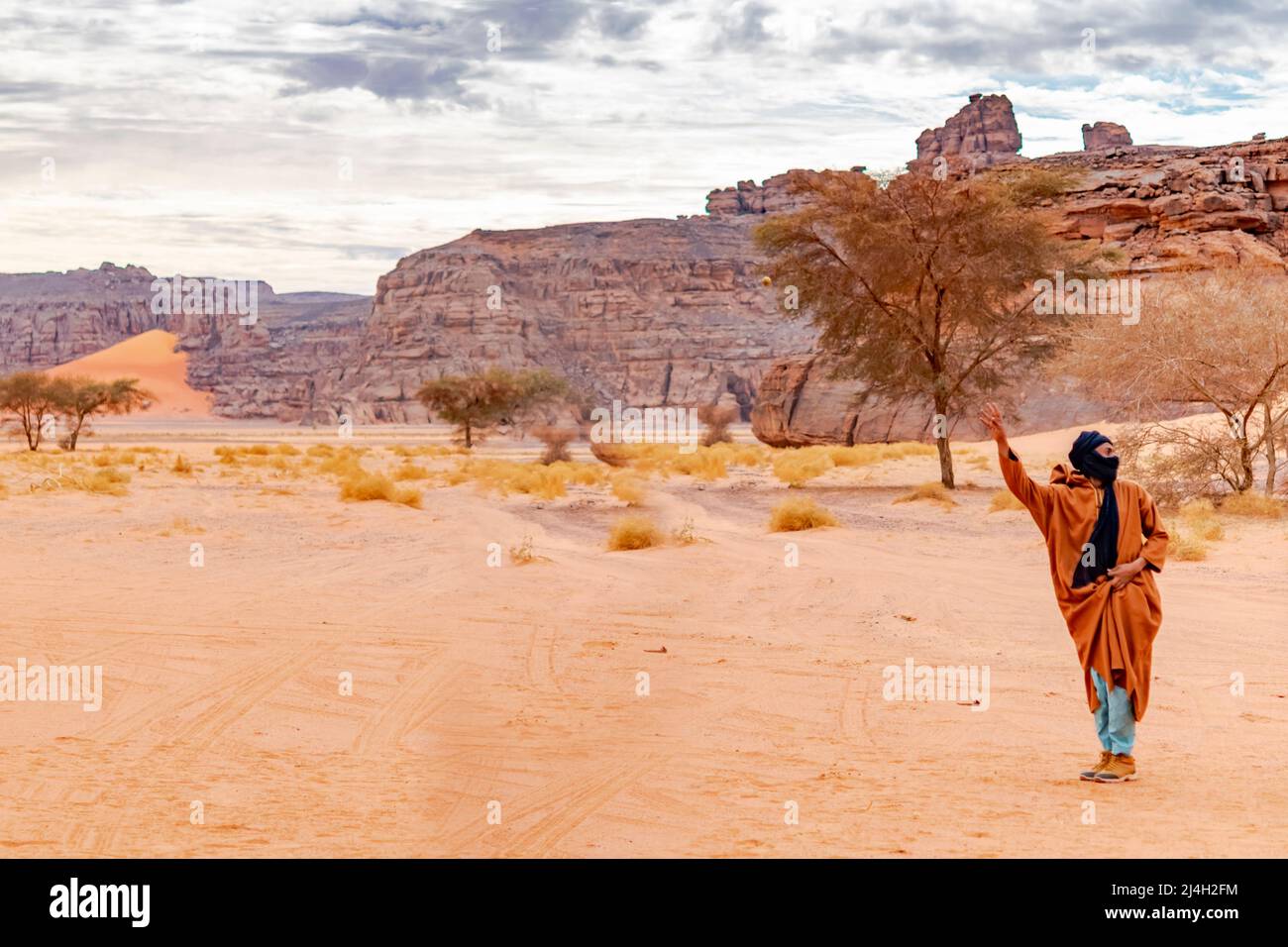 Tadrart Rouge, tuareg-Mann hebt Arm. Akazienbäume, farblich abfallend Sand, trockene Kräuter, gelbe Sandsteine, felsige Berge und wolkig grauer, bedeckter Himmel Stockfoto