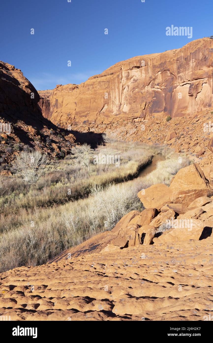 Escalante River Flowing Sandstone Canyon, Glen Canyon National Recreation Area, Kane County, Utah, USA Stockfoto