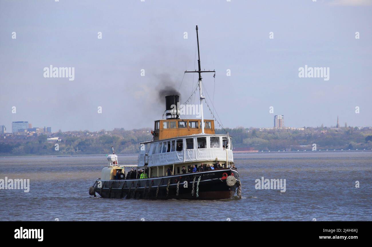 Danny Adamson Steamship Stockfoto