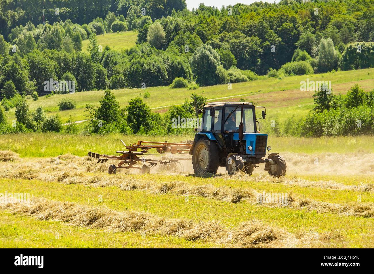 Traktor mit Mäher zum Mähen von Gras auf Wiesen. Traktor Schnitt Heu
