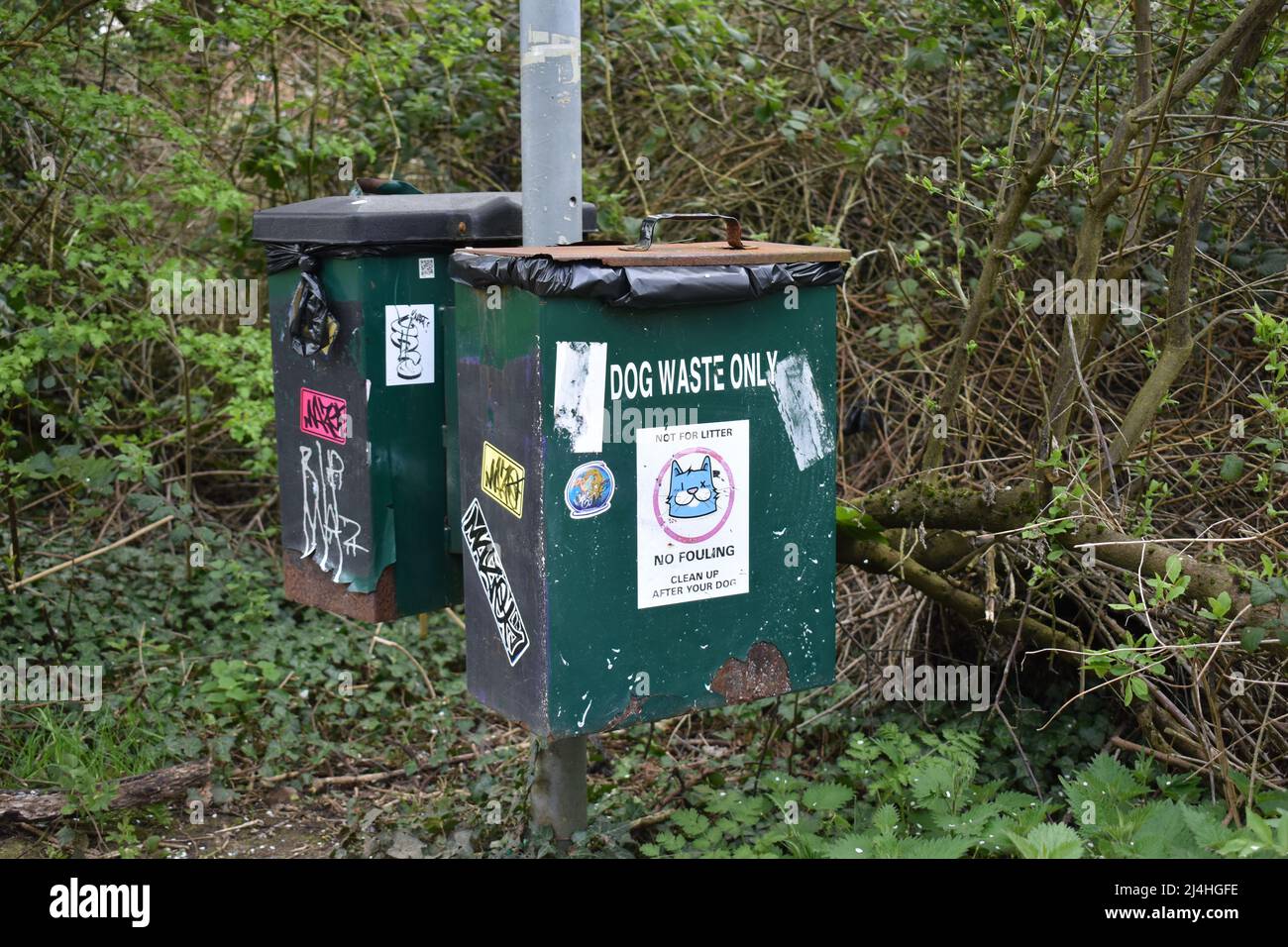 Zwei unangenehm aussehende Mülltonnen für Hunde in Milton Keynes. Stockfoto