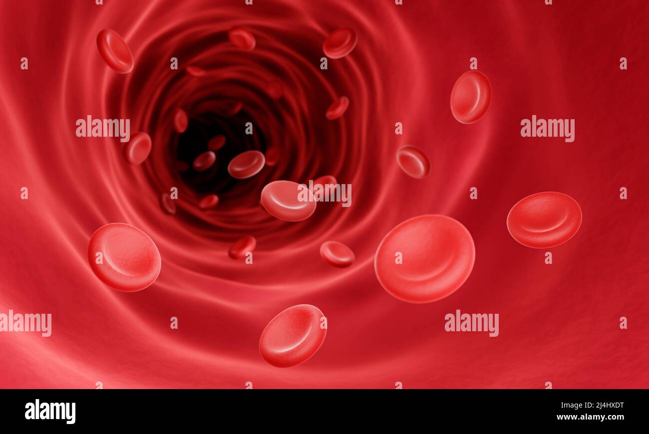 Rote Blutkörperchen, Abbildung Stockfoto
