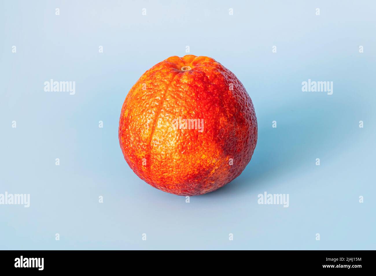 Blutrote orange Zitrusfrüchte auf blauem Hintergrund. Rote Orange Stockfoto