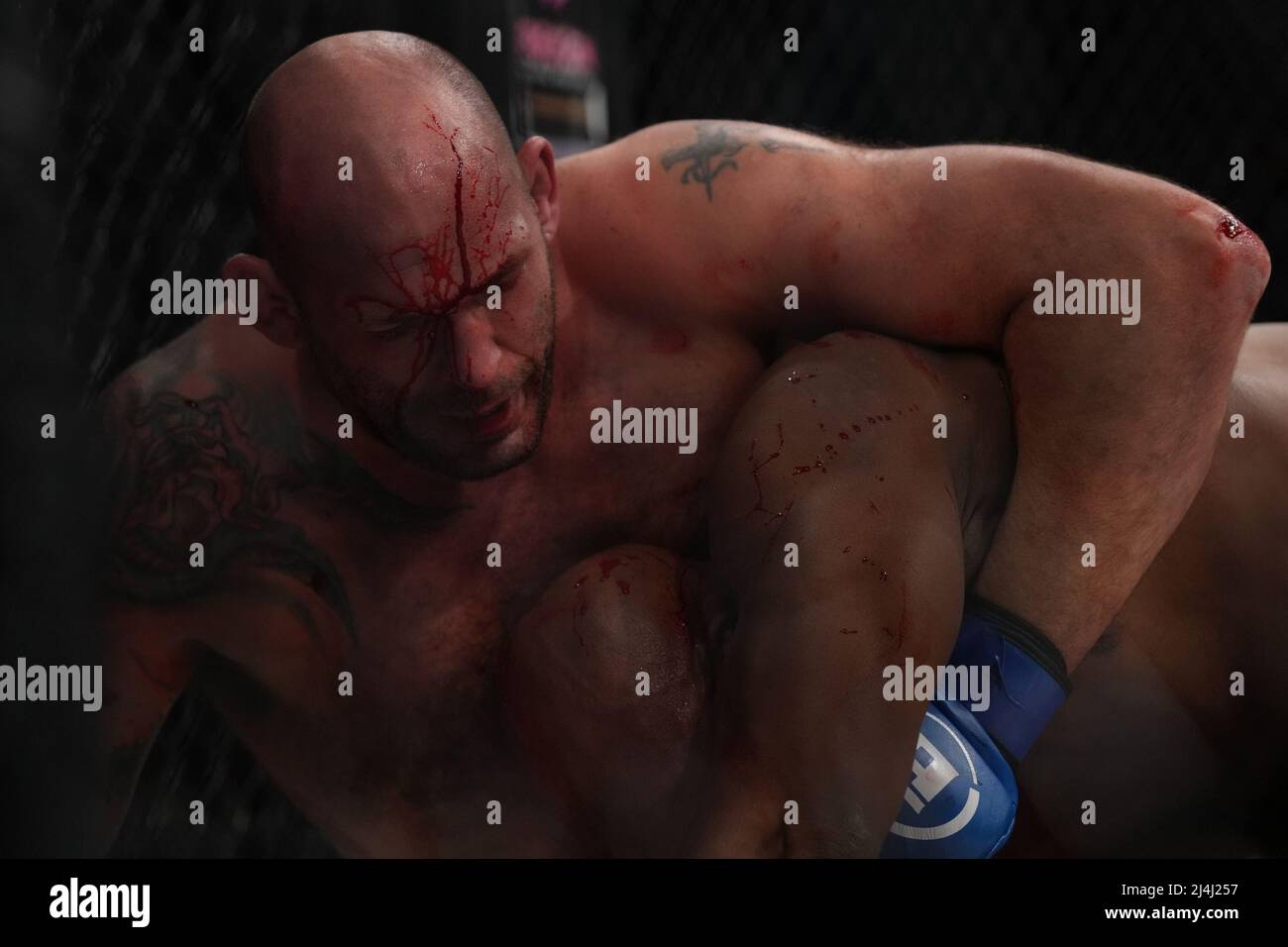 San Jose, Kalifornien, USA. 15. April 2022. SAN JOSE, CA - 15. April: Linton Vassell (rote Handschuhe) und Tim Johnson (blaue Handschuhe) treffen sich im Achteck zu einem 3-runden Schwergewicht-Kampf im SAP Center for Bellator 277: McKee vs Pitbull 2 - Veranstaltung am 15. April 2022 in SAN JOSE, USA. (Foto von Louis Grasse/PxImages) Credit: Px Images/Alamy Live News Stockfoto