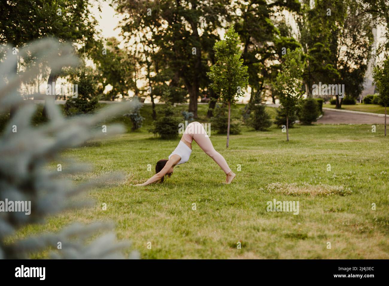 Attraktive, schöne Frau macht Yoga und steht bei Sonnenuntergang in nach unten gerichteter Hundepose auf grünem Rasen, Konzept der inneren Harmonie Stockfoto