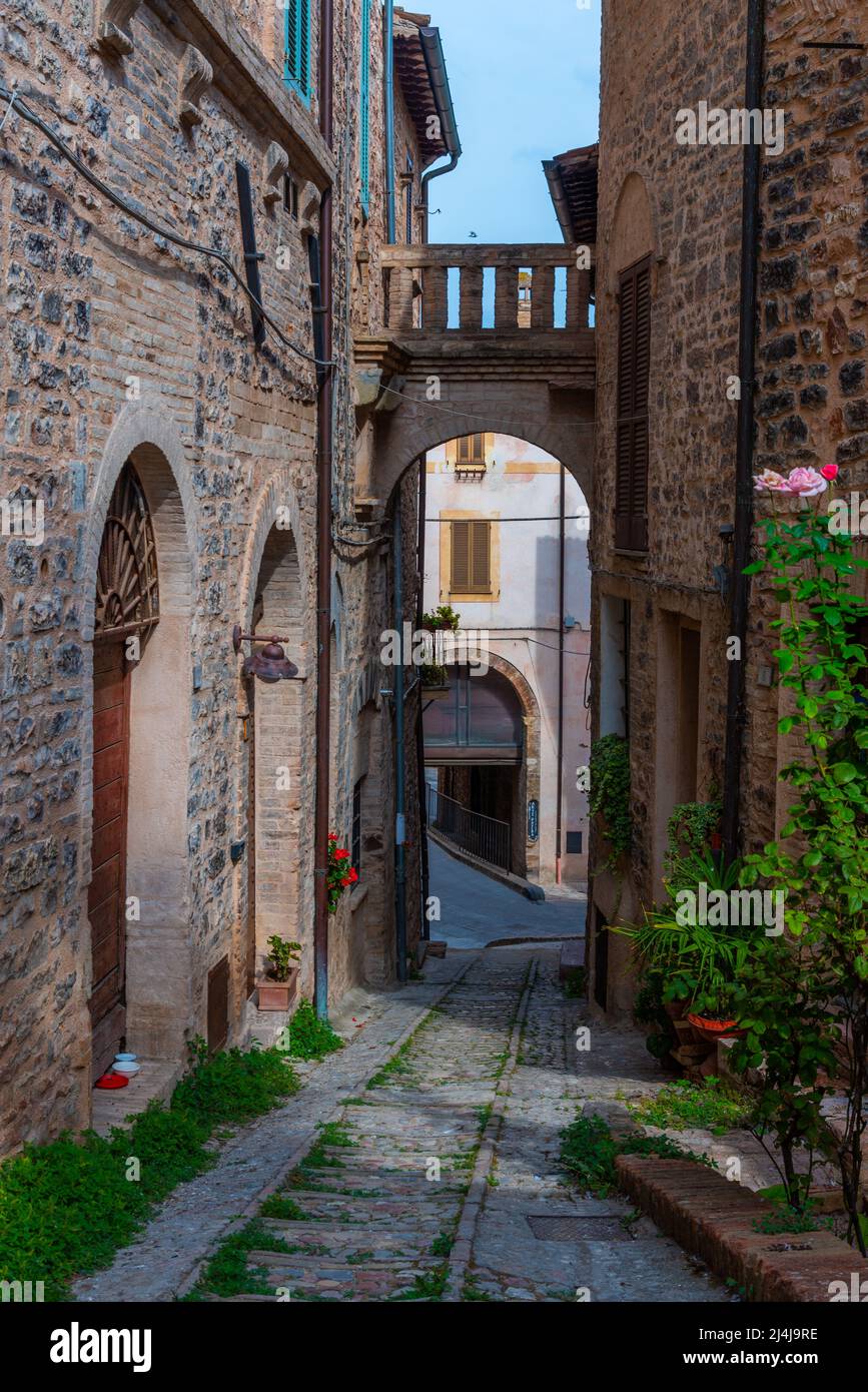 Schmale Straße in der Altstadt von Spello in Italien. Stockfoto