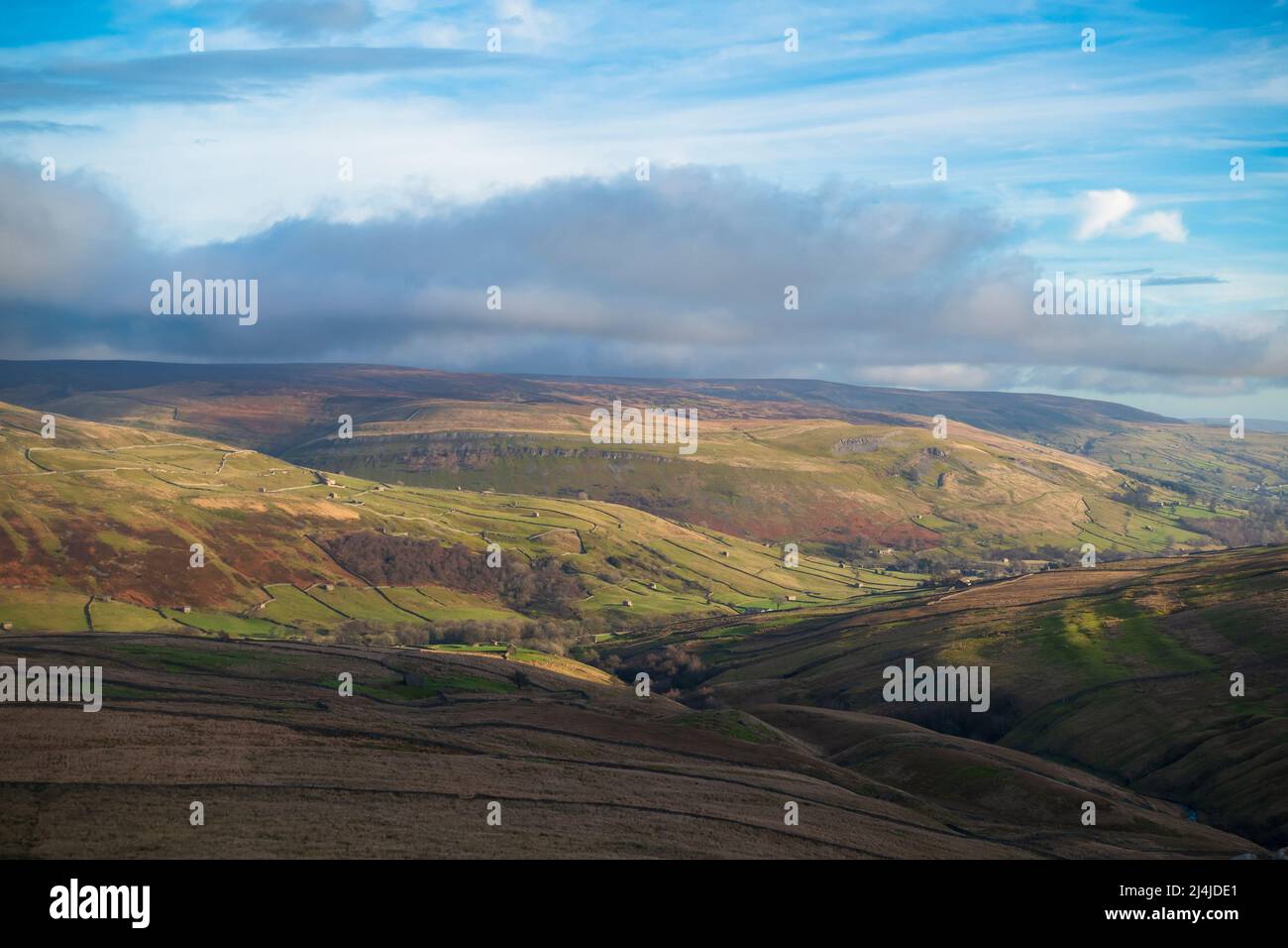 Swaledale, Yorkshire Dales National Park. Ein Patchwork aus grünen Feldern und Trockenmauern mit ikonischen Steinhäusern im späten Winter. Stockfoto