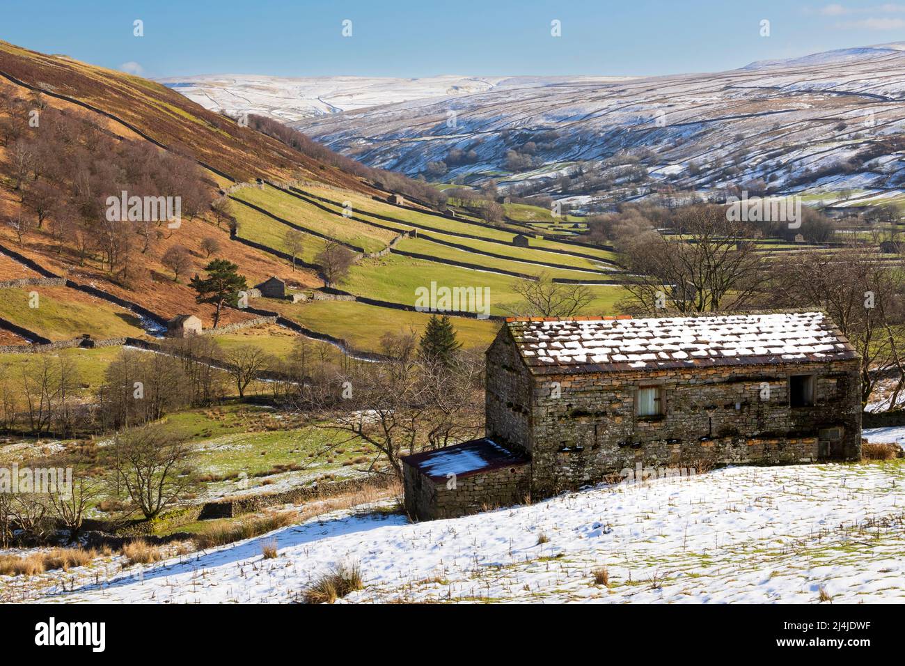 Steinscheune in der Nähe von Angram in Swaledale, Yorkshire Dales National Park. Schneebedeckte Felder Ende Februar. Stockfoto