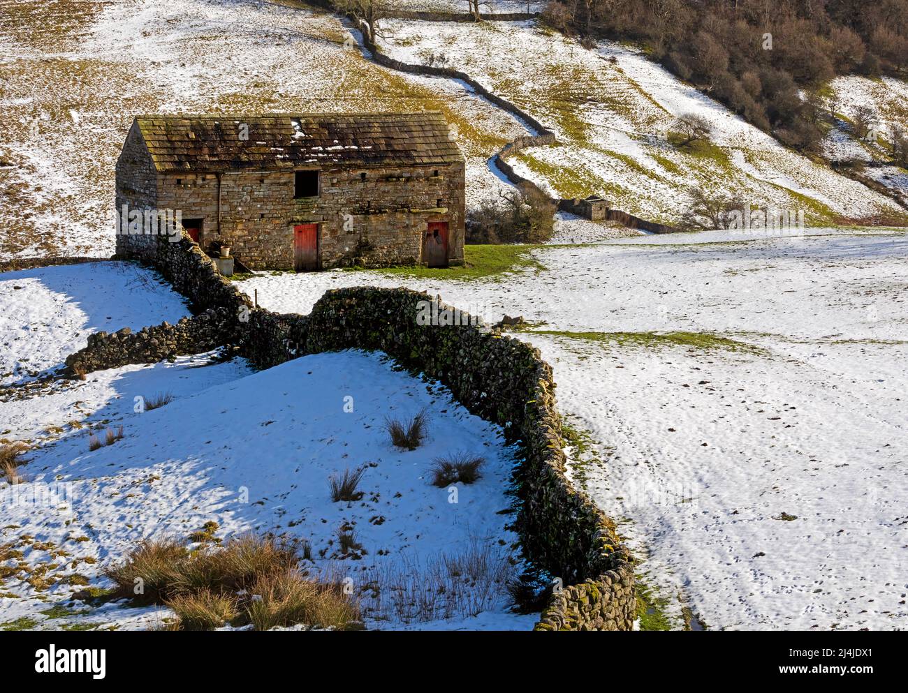 Steinscheune in der Nähe von Angram in Swaledale, Yorkshire Dales National Park. Schneebedeckte Felder Ende Februar. Stockfoto