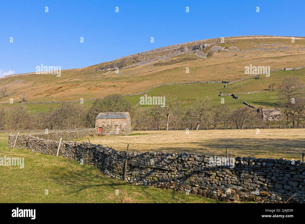 Steinscheune und Trockensteinmauer in der Nähe von Muker, Swaledale, Yorkshire Dales National Park Stockfoto