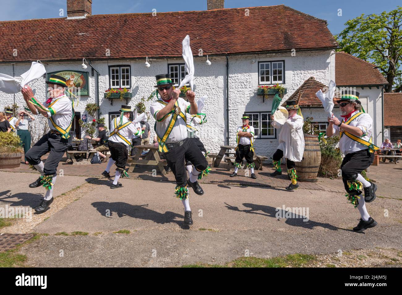 Die Aufführung der Longman Morris Dancer auf dem Dorfgrün vor dem Tiger Inn, im East Dean East Sussex. Aufgrund von Covid-Einschränkungen haben sie nur Biene Stockfoto