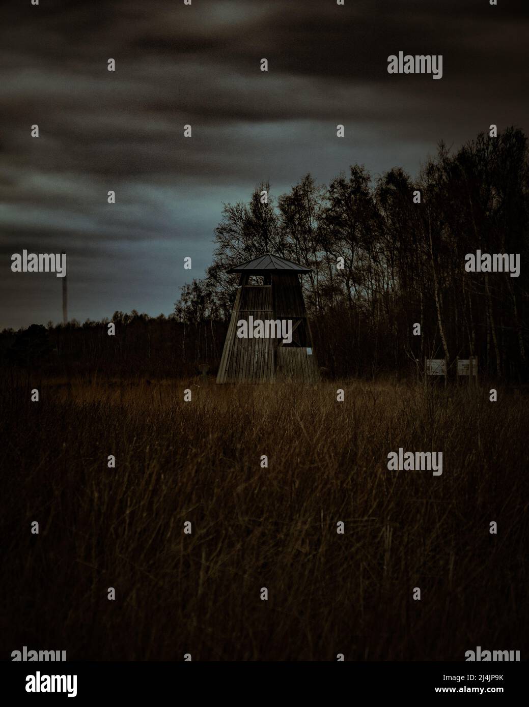 Ein Aussichtsturm im Hiller Moor bei Nacht Stockfoto
