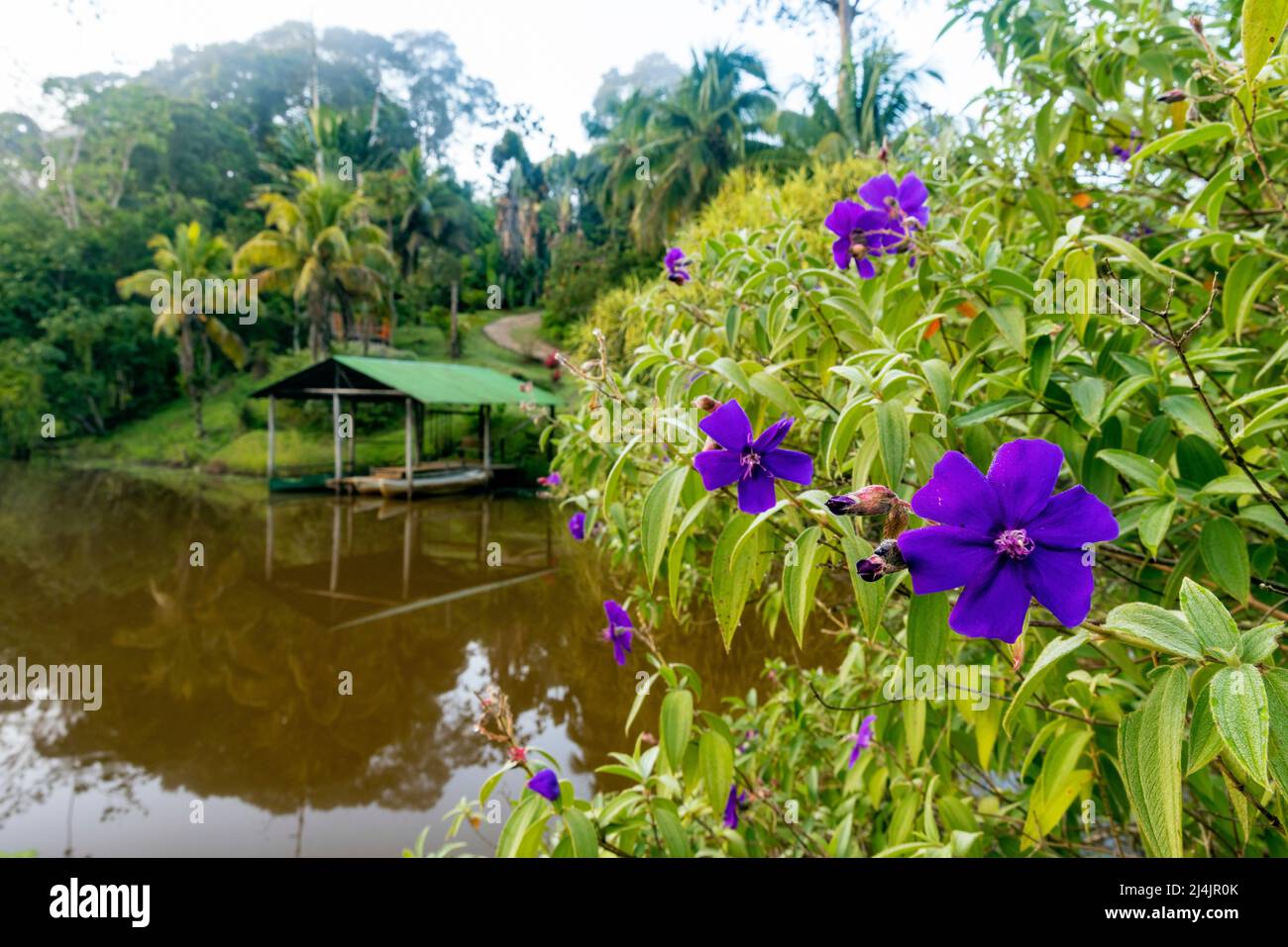 Bootsanlegestelle in der La Laguna del Lagarto Eco-Lodge, Boca Tapada, Costa Rica Stockfoto