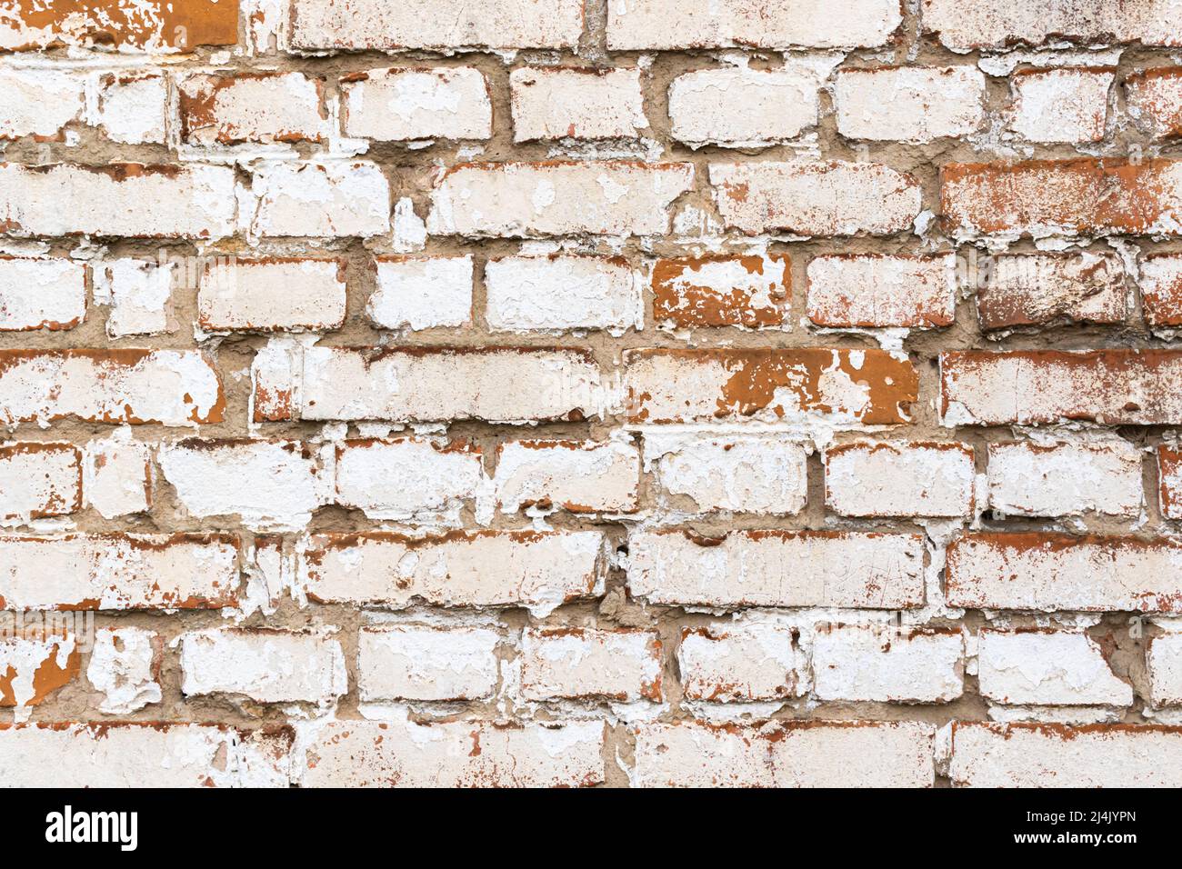 Alte Ziegelwand mit verwitterter weißer Farbe, hoher detaillierter Textur Hintergrund Stockfoto