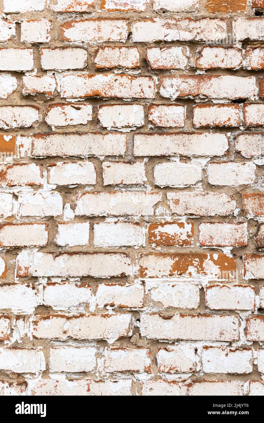 Alte Ziegelwand mit verwitterter weißer Farbe, hoher detaillierter Textur Hintergrund Stockfoto