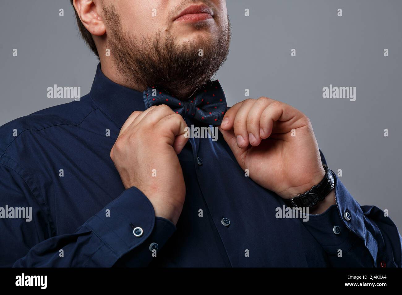 Nahaufnahme des Bartmenschen mit Fliege Stockfoto