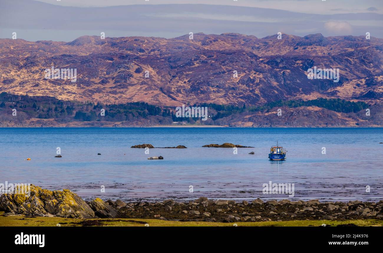 Blick von der Bucht von Glenuig aus, dem schottischen Hochland Stockfoto