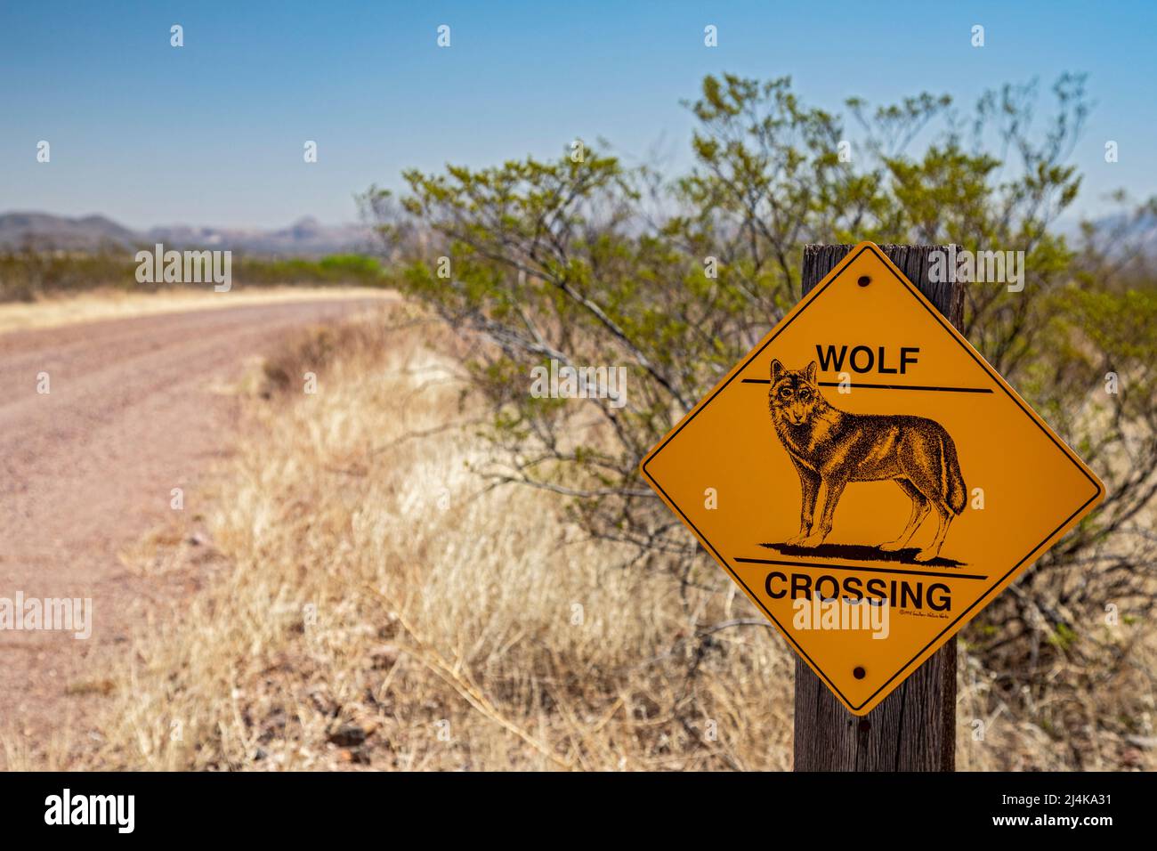 Douglas, Arizona - Ein Schild warnt vor einem Wolfstreck auf dem Geronimo Trail, einer unbefestigten Straße in der Chihuahuan-Wüste nahe der US-mexikanischen Grenze. Stockfoto